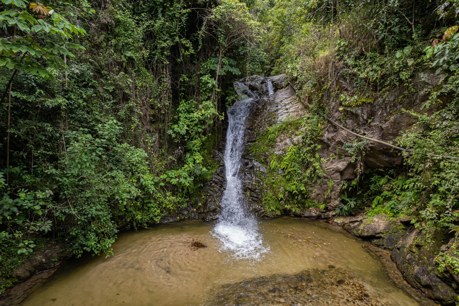 Cascada